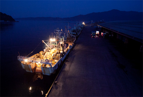 宮古魚市場　漁船夜景撮影